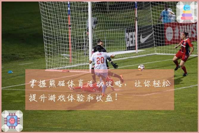 掌握熊猫体育活动攻略，让你轻松提升游戏体验和收益！